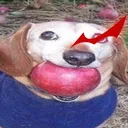Kecelownia