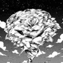Black Rose