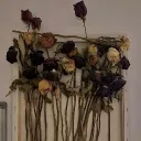 erm Discord Server Icon