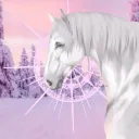 𝐂𝐇𝐈𝐂 𝐃𝐑𝐄𝐒𝐒𝐀𝐆𝐄 𝐎𝐒