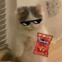 Sammich Closet Discord Server Icon