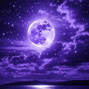 Discovery icon for 🌙 ᯓ Midnight Blessing ✦ ִ ֶ֢࣪⋆ Discord server