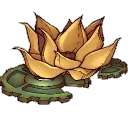 Lotus Cove