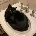 Exzeonic (public ver)'s icon