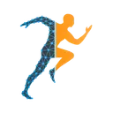 Omni Animation