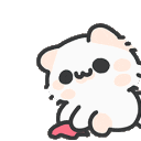 kim’s kittenfarm