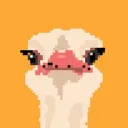 Ostrich