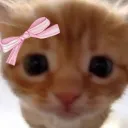 Chill Paradise ❄ Discord server icon