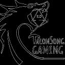 TalonSong Gaming Discord Server Icon