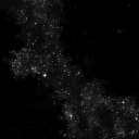    starlight.    Discord Server Icon