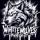 White Wolves eSpor ve Oyun Merkezi
