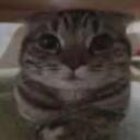 @ minion takeover Discord Server Icon