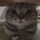 @ minion takeover Discord Server Icon