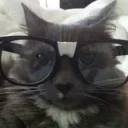 #MEOW Tag /kisuke