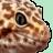 The Gecko Guild Discord Server Icon