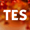 The Equestrian Sims avatar