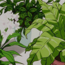 plant community 𓆟٠ ࣪⭑ Discord server icon
