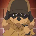 DogsFox Dev