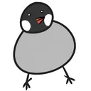 闇文鳥の巣