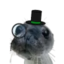 Memeology Discord Appeals