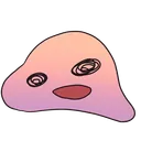 らなの配信鯖