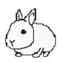 deracord