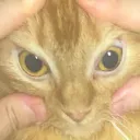 タカムラがオナニーする場所