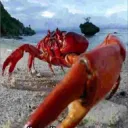 ФППДС GavaiMultiVerse