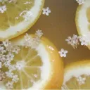 Citrus Village (18+) discord icon