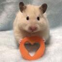 hamster wheel Discord Server Icon