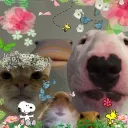 The Council Discord Server Icon