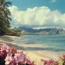 ⟡   🪸 ﹒Along On Shore