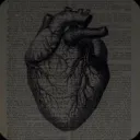 ⟡﹒⁺   🫀  Love filled pages ⊹ • RVMP