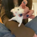 Queerios 🌈 Discord server icon