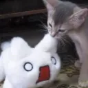 silliest billiest Discord Server Icon