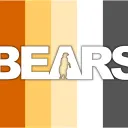 Houston Bears