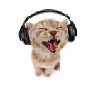 Central Makakos Canabiodicos Discord Server Icon