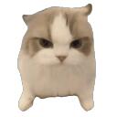 La Familia Es Todo Discord Server Icon