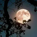 🖤Odkrywcy Przyszłości🤍 Discord server icon