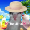  The sillies(ﾉ≧∀≦)ﾉ Discord Server Icon