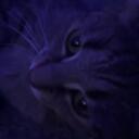Haiii lets be friends Discord Server Icon
