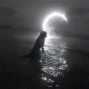 /x̷e̷n̷0̷