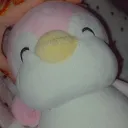 miss_meera07's server Discord server icon