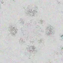 Worthless Wasteland