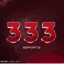 333 E-SPORTS avatar