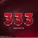 Discovery icon for 333 E-SPORTS Discord server