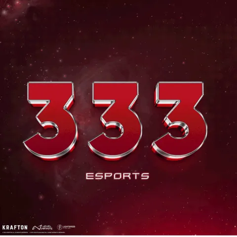 333 E-SPORTS banner