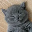 Hangout Club Discord Server Icon