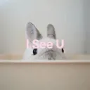 hii