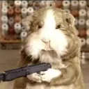 GUINEA PIGS INSIDE BE AWARE